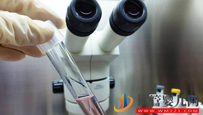 泰國試管嬰兒和國內試管流程成功率有什么不同(圖3) 泰國試管嬰兒和國內試管流程成功率有什么不同(圖3)