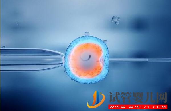 來(lái)看看試管嬰兒是怎么做的 了解試管嬰兒全過(guò)程(圖1) 來(lái)看看試管嬰兒是怎么做的 了解試管嬰兒全過(guò)程(圖1)