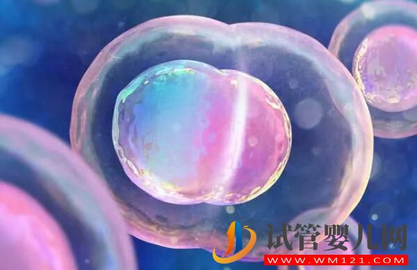 試管嬰兒移植后，胚胎多久能著床？(圖1)