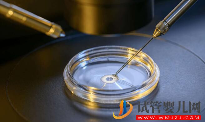 試管嬰兒移植后，胚胎多久能著床？(圖2)