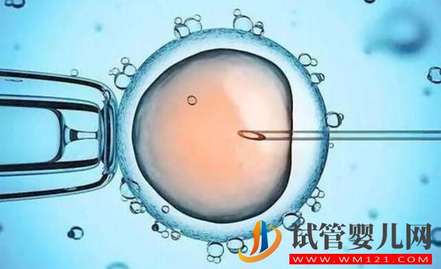 試管嬰兒移植后，胚胎多久能著床？(圖3)