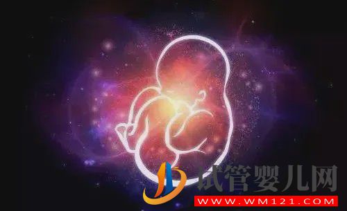 不孕不育的門診人滿為患，為什么不孕癥發病率變得如此之高？(圖1)