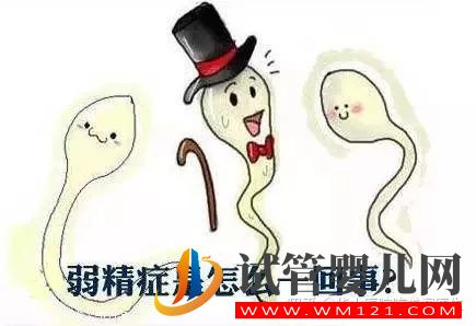 得了弱精子癥別著急,看這篇文章就清楚了(圖1) 得了弱精子癥別著急,看這篇文章就清楚了(圖1)