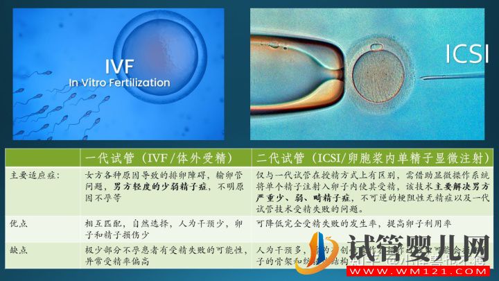 一代試管和二代試管的區別_畸形率高影響試管成功率(圖3)