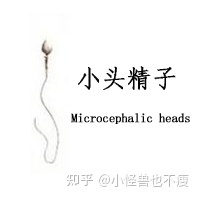 一代試管和二代試管的區別_畸形率高影響試管成功率(圖9)