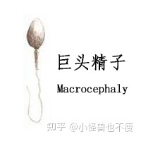 一代試管和二代試管的區別_畸形率高影響試管成功率(圖8)