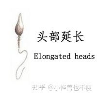 一代試管和二代試管的區別_畸形率高影響試管成功率(圖13)