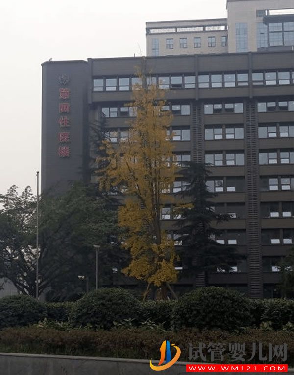 成都中醫藥大學附屬生殖婦幼醫院試管嬰兒成功率、費用指南(圖4)