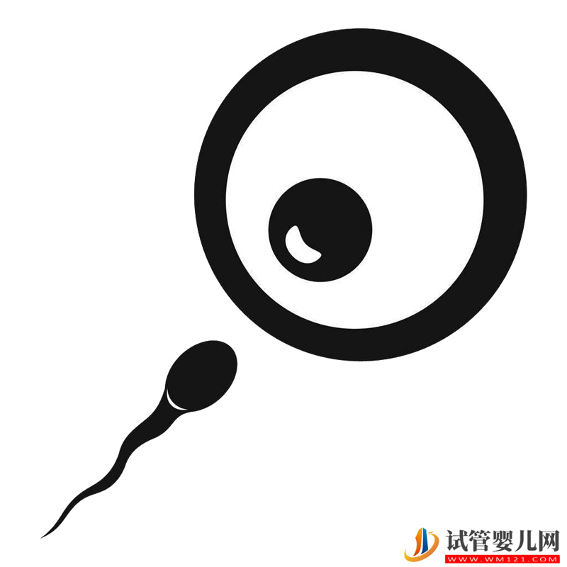 試管嬰兒中重要的“洗精術(shù)”,你了解么?(圖1) 試管嬰兒中重要的“洗精術(shù)”,你了解么?(圖1)