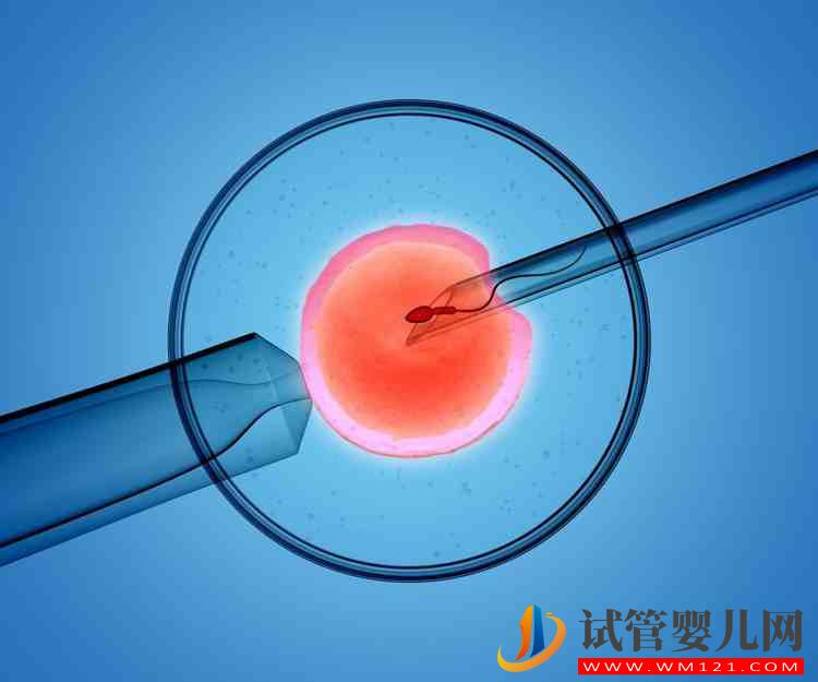 細胞治療產(chǎn)業(yè)發(fā)展?jié)摿Υ? style= 細胞治療產(chǎn)業(yè)發(fā)展?jié)摿Υ?圖1)