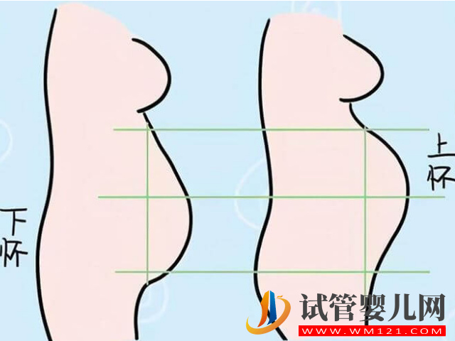 版清宮表生男生女圖分享，正確推算成功率達到100%(圖1)