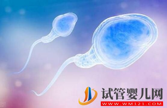 男性備孕期間,該干什么 不該干什么(圖1) 男性備孕期間,該干什么 不該干什么(圖1)