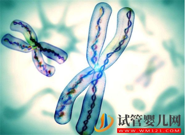 導致染色體異常的因素有哪些_如何做好預防措施(圖1)