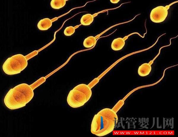 中度弱精可以通過蘭州試管嬰兒懷孕嗎(圖1)