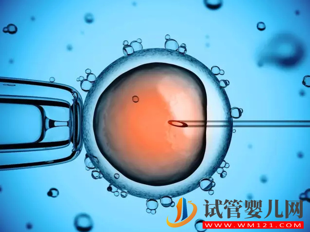 試管嬰兒如何建檔產檢，什么時候建檔產檢(圖1)