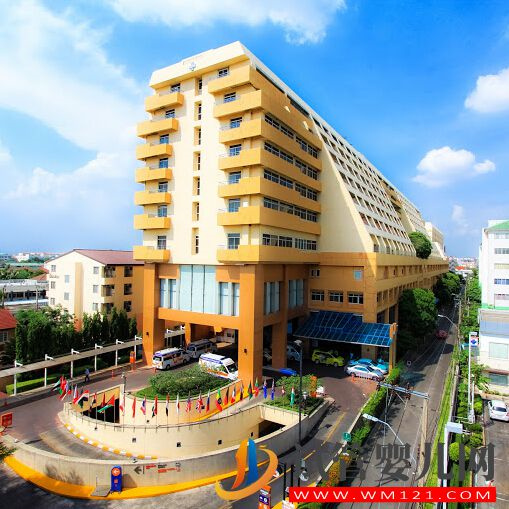 泰國排名前十試管嬰兒醫院(圖1)