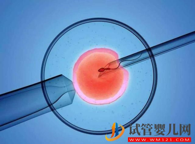 輸卵管堵塞可以懷孕嗎 輸卵管堵塞可以懷孕嗎(圖1)