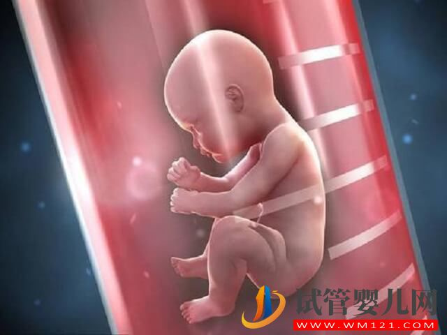 為什么移植一個卻有兩個寶寶,可以減一胎嗎?(圖1) 為什么移植一個卻有兩個寶寶,可以減一胎嗎?(圖1)