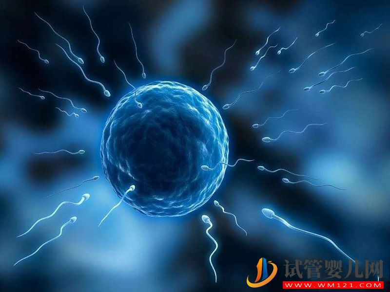 輸卵管切除的滎陽備孕女性看過來，這些醫(yī)院可助你一臂之力(圖2)