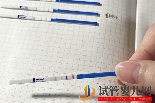 一文便知明顯兩條杠其實沒懷孕的五大原因(圖3) 一文便知明顯兩條杠其實沒懷孕的五大原因(圖3)