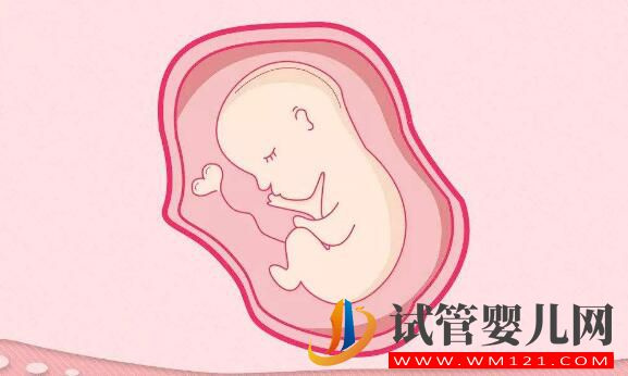 做試管嬰兒后身體出現這些癥狀正常嗎？(圖1)