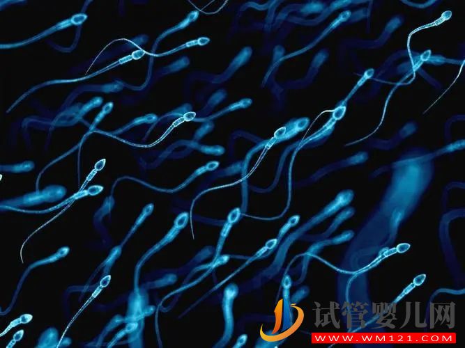 患有弱精癥還可以生育嗎？(圖1)