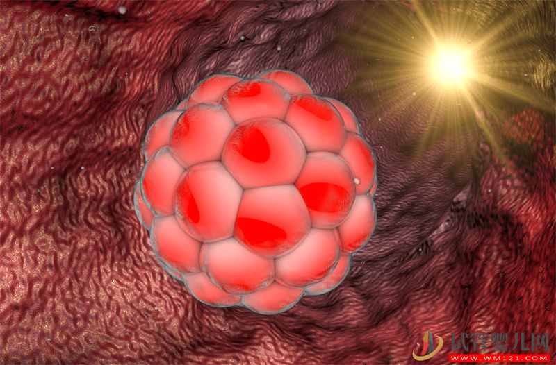 做試管養不養囊？不用糾結！一文清晰幫您分析利弊(圖1)