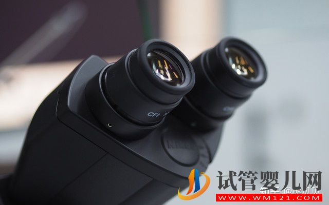 做三代試管嬰兒的利弊有哪些(圖2) 做三代試管嬰兒的利弊有哪些(圖2)