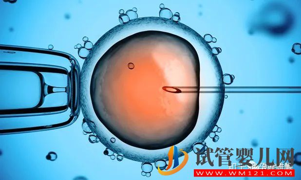 一篇文章看懂輔助生殖(圖1) 一篇文章看懂輔助生殖(圖1)