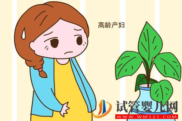 無卵巢可以找自己的親人供卵生子嗎？(圖1)