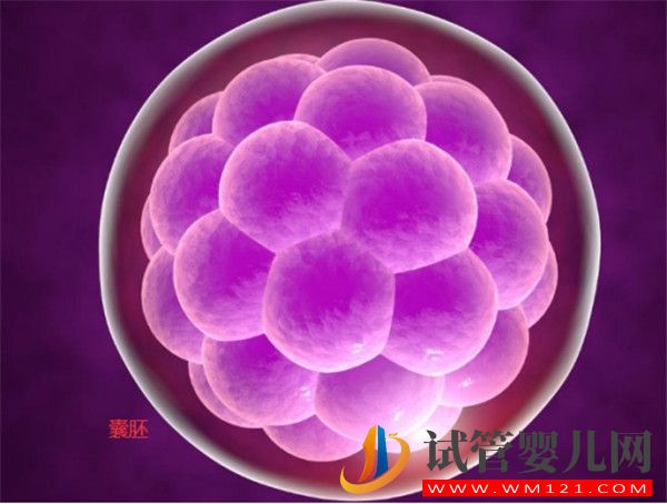 養(yǎng)囊成功卻3次移植囊胚失敗的原因有哪些(圖1) 養(yǎng)囊成功卻3次移植囊胚失敗的原因有哪些(圖1)