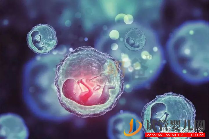 養囊有什么好處_哪些情況推薦養囊(圖2)