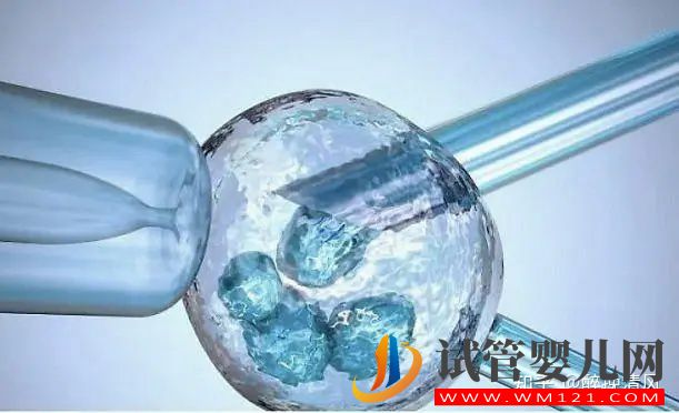 養(yǎng)囊主要看精子質(zhì)量嗎(圖2) 養(yǎng)囊主要看精子質(zhì)量嗎(圖2)