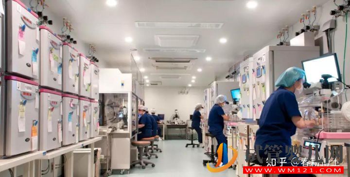 要不要養(yǎng)囊胚,如何提高養(yǎng)囊成功率(圖3) 要不要養(yǎng)囊胚,如何提高養(yǎng)囊成功率(圖3)