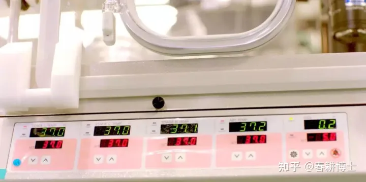 要不要養(yǎng)囊胚,如何提高養(yǎng)囊成功率(圖5) 要不要養(yǎng)囊胚,如何提高養(yǎng)囊成功率(圖5)