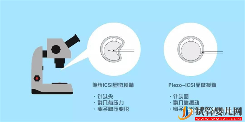 要不要養(yǎng)囊胚,如何提高養(yǎng)囊成功率(圖8) 要不要養(yǎng)囊胚,如何提高養(yǎng)囊成功率(圖8)