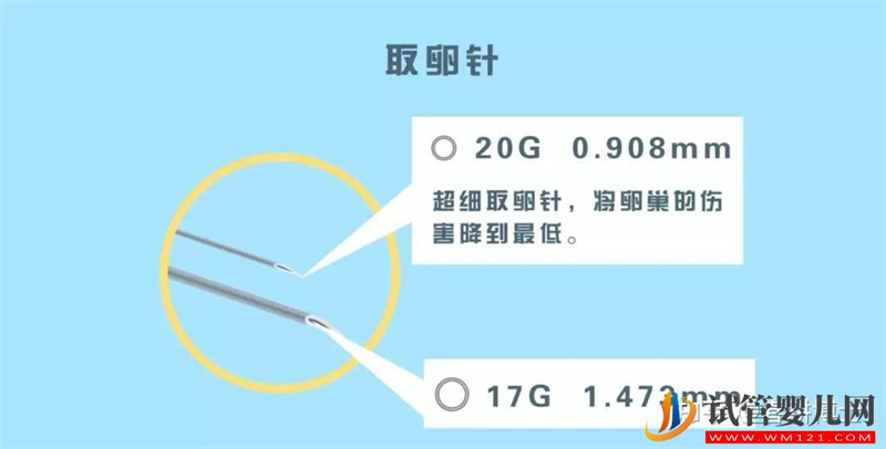 要不要養(yǎng)囊胚,如何提高養(yǎng)囊成功率(圖10) 要不要養(yǎng)囊胚,如何提高養(yǎng)囊成功率(圖10)