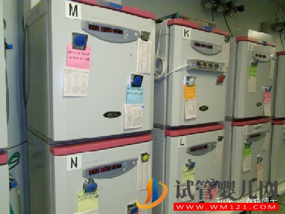 要不要養(yǎng)囊胚,如何提高養(yǎng)囊成功率(圖12) 要不要養(yǎng)囊胚,如何提高養(yǎng)囊成功率(圖12)