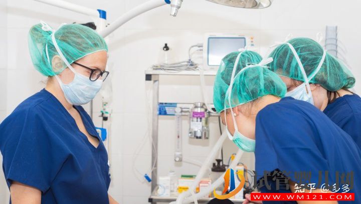 試管醫(yī)院怎么選,關(guān)注這3點(圖1) 試管醫(yī)院怎么選,關(guān)注這3點(圖1)