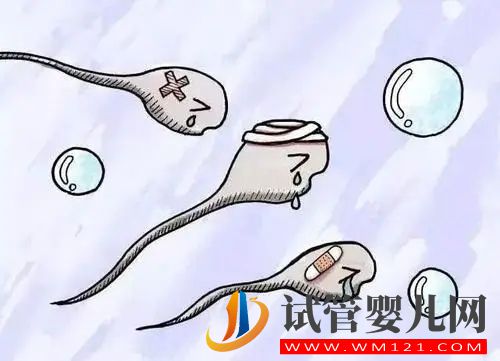 在患有弱精癥的情況下有哪些影響(圖1) 在患有弱精癥的情況下有哪些影響(圖1)