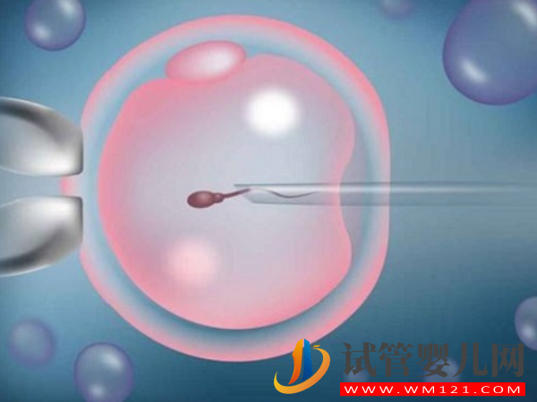日本英醫院做試管嬰兒技術怎么樣？(圖1)