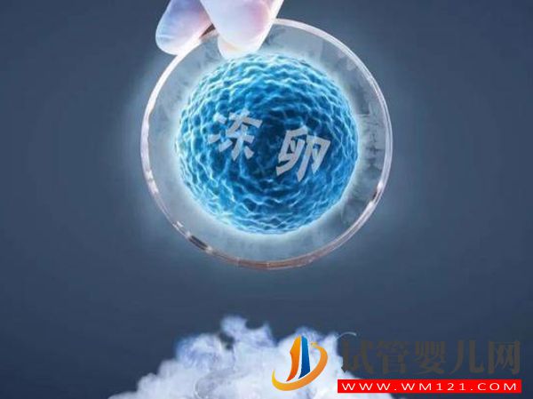 日本凍卵和美國凍卵不能一概而論，費用只是區別之一(圖1)