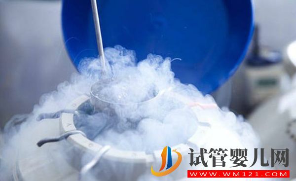 日本凍卵和美國凍卵不能一概而論，費用只是區別之一(圖3)