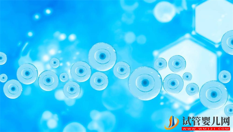 試管嬰兒過程從開始到結束的概述(圖1) 試管嬰兒過程從開始到結束的概述(圖1)