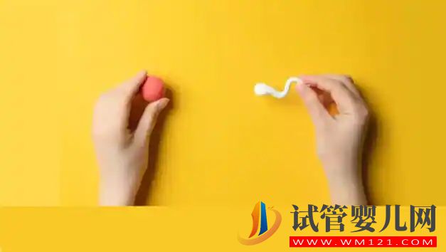 做試管嬰兒，這些是您必須避免的 5 個錯誤(圖2)