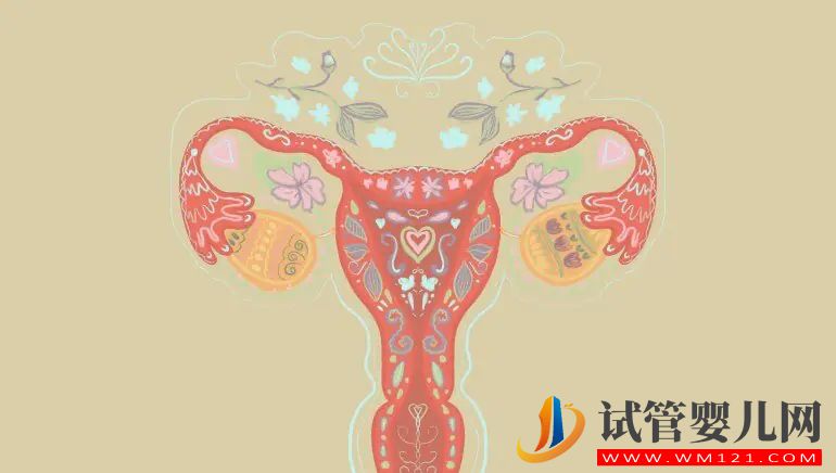 了解可能增加流產風險的 5 個原因(圖3)