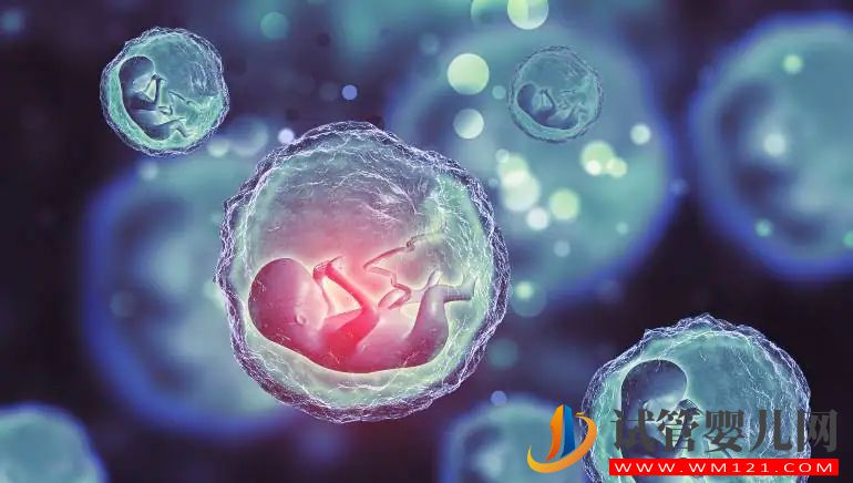 了解可能增加流產風險的 5 個原因(圖5)