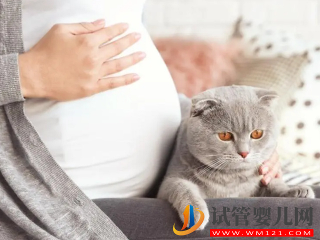 盤點女人生不出兒子的三大原因，并非都是女方的錯(圖3)