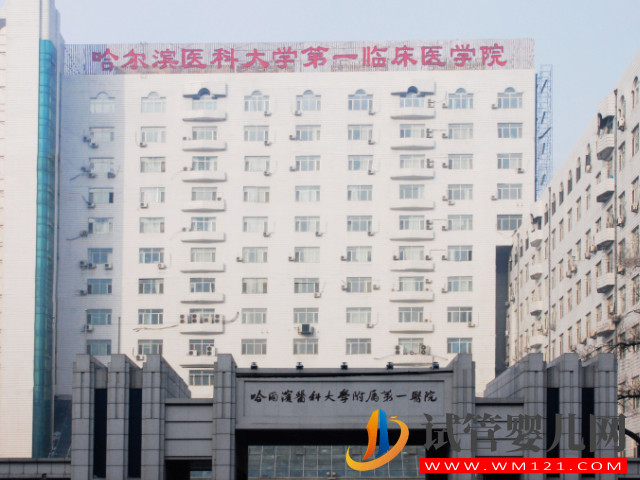 哈爾濱做人工授精成功率最高醫(yī)院盤點,哈醫(yī)大一、二院皆上榜(圖1) 哈爾濱做人工授精成功率最高醫(yī)院盤點,哈醫(yī)大一、二院皆上榜(圖1)