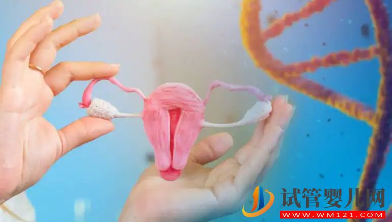 我有一個輸卵管：我還能懷孕嗎？(圖1)